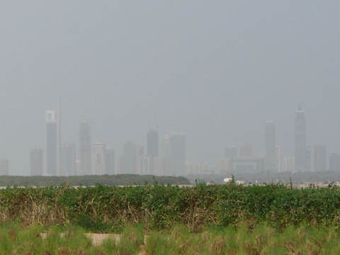 Смог в Дубаи / Smoke in Dubai