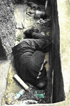 Человек,зачем ты?