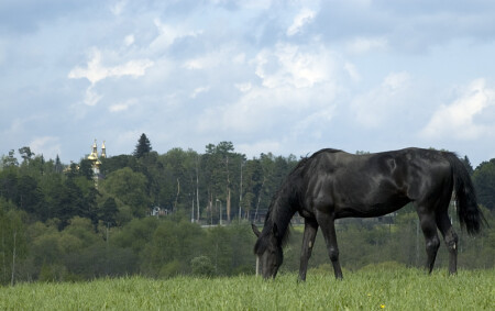 Переделкино