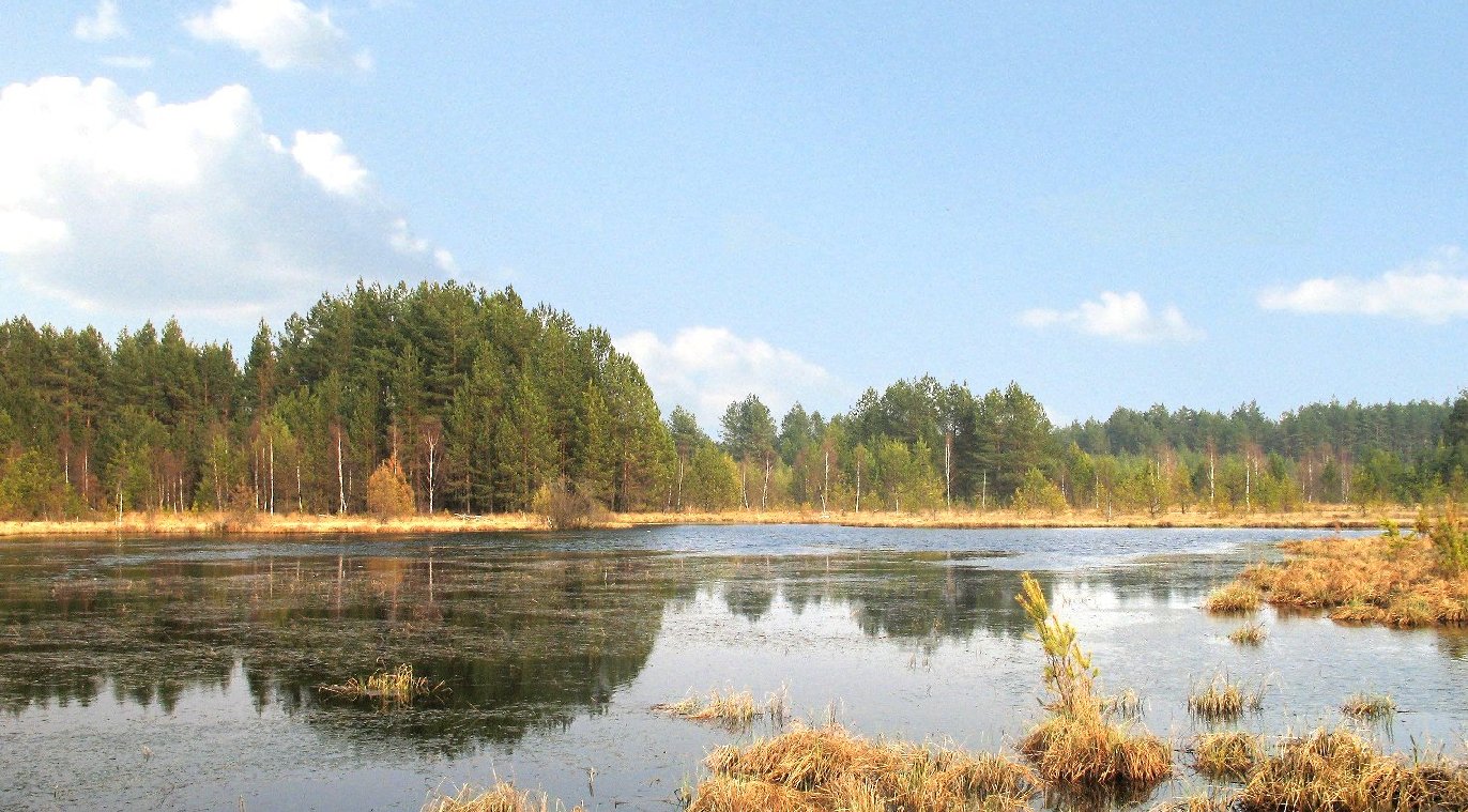 Ozerko