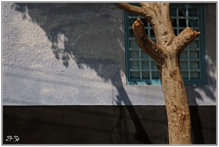 Воспоминания