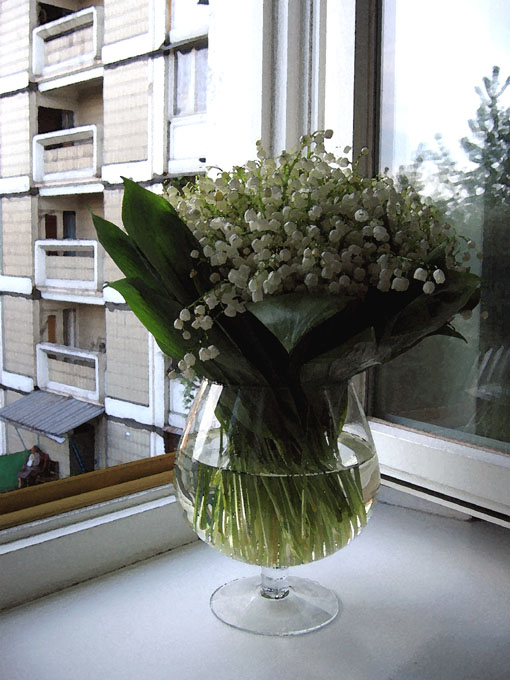 Convallaria majalis