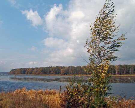Осенняя