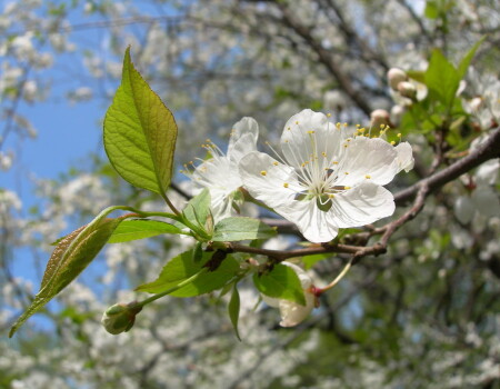 Ура-а! Весна!