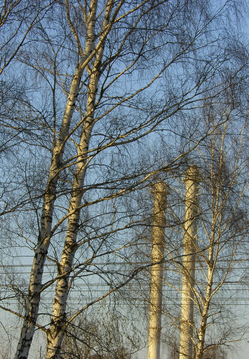 Березник