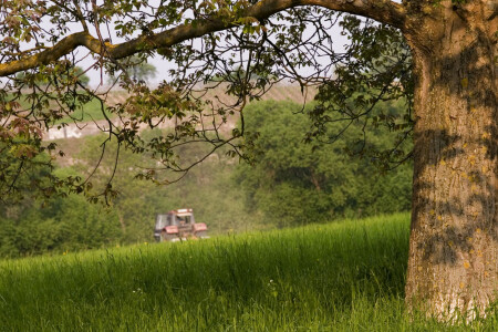 KTO KUDA, A JA NA POLE!