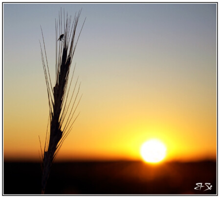 Прощание с солнцем