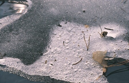 В ожидании весны