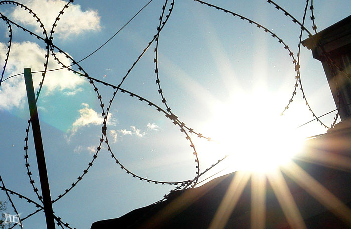 set me free