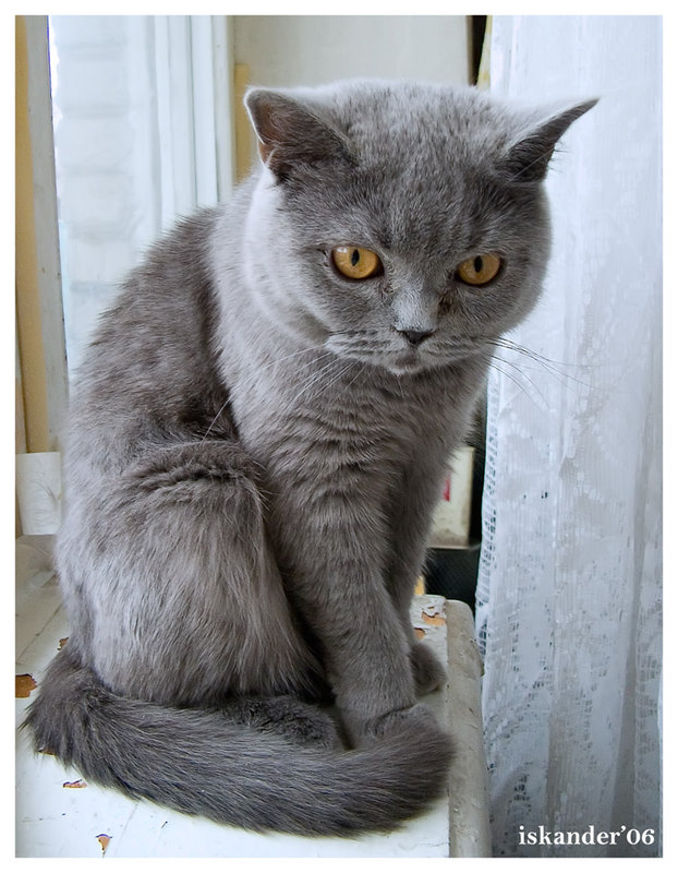 Наири