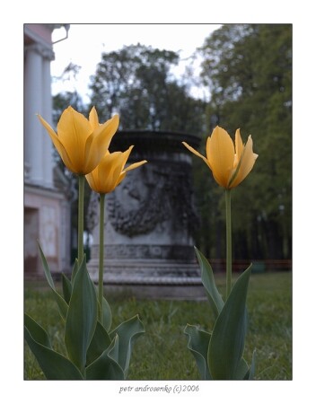 старая усадьба