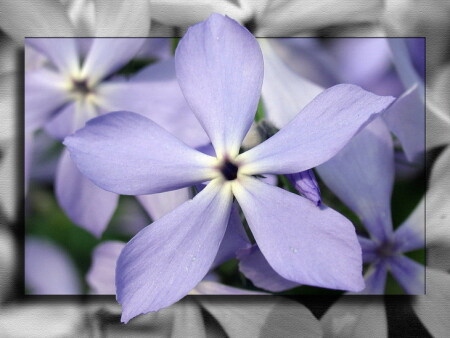 А мне все фиолетово!