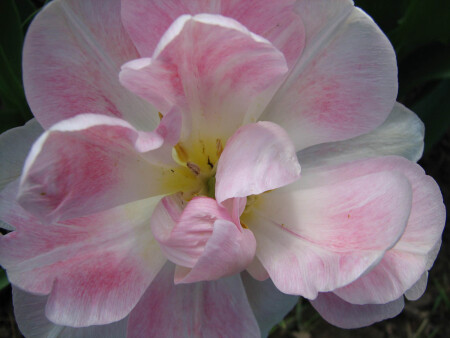 ...смутили!))