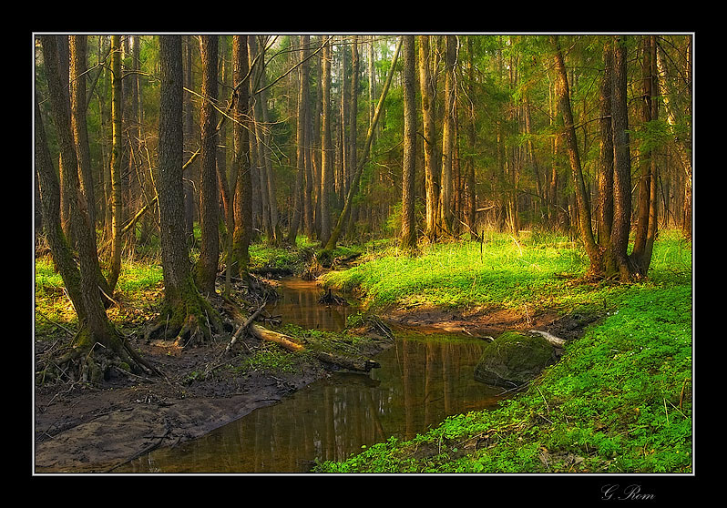 Камешек для Алёнушки