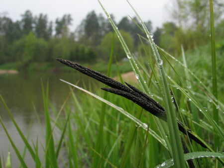 после дождя