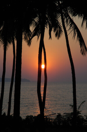 закат аравии