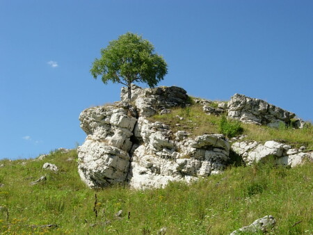 Одиночество