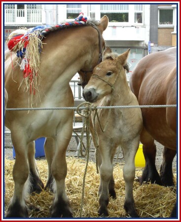 Oui, maman ....