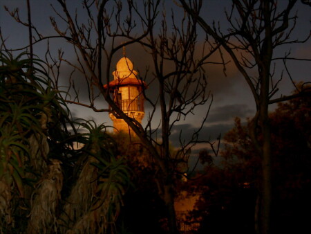 По следам Синбада