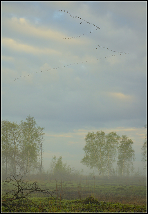 The Springtime....