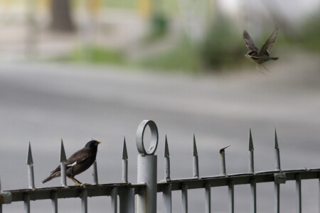 Таможня бдит