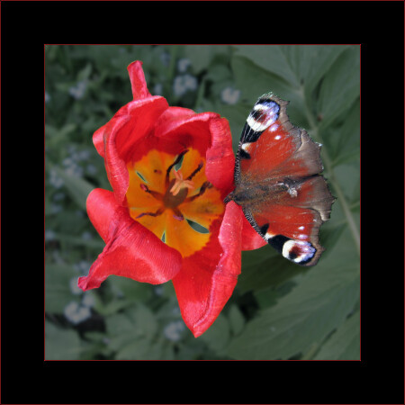 два прекрасных трупа