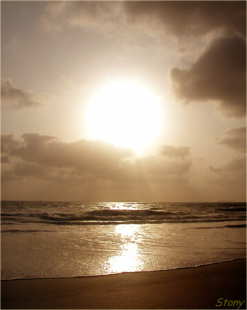 just sepia