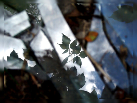 Осколки лета