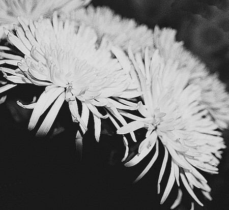 воспоминание о несостоявшемся