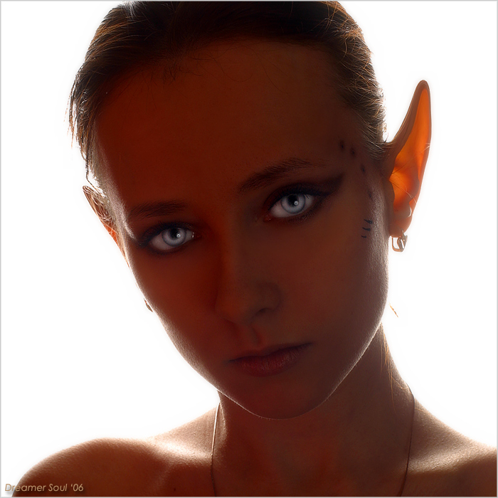 -= Night ELF =-