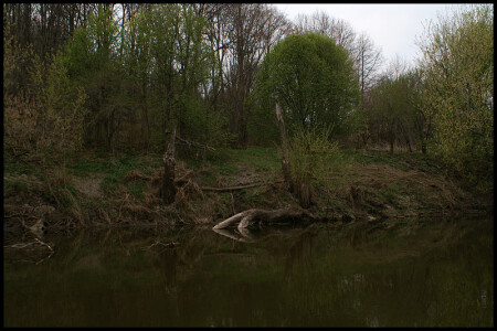 Аленушка ушла