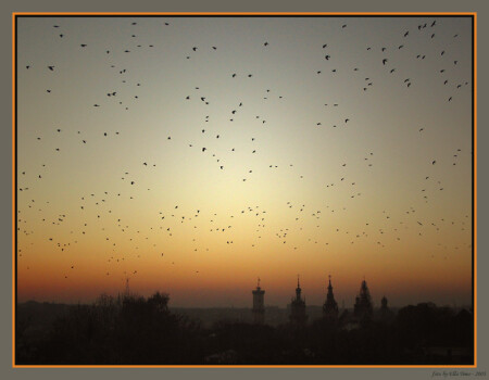 Ночной дозор-2