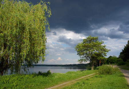 Первая летняя картинка.