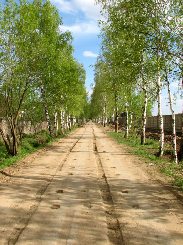 По дороге домой.