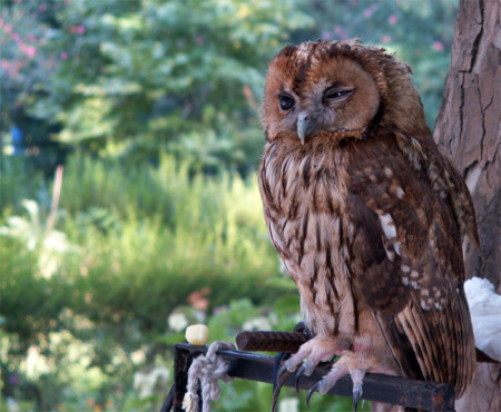 Ну, снимайте меня...