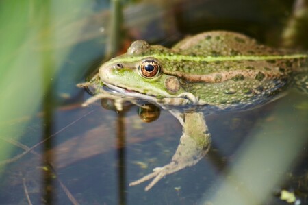 После обеда :)