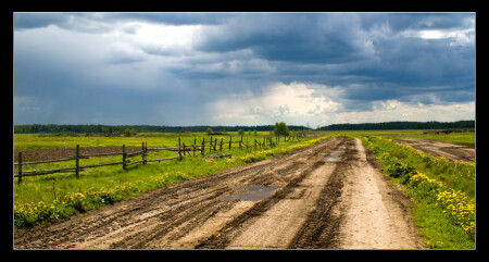 Предгрозовая (репост)