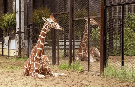 &amp;quot;Зеркало&amp;quot;