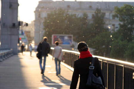 Тополиный пух, жара, июнь... [настроение]