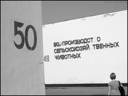 50/49