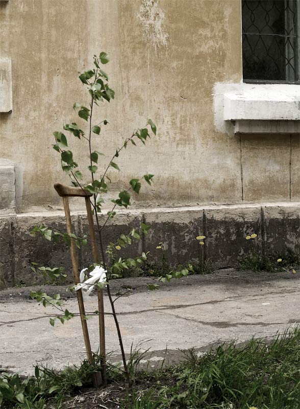 Передай добро по кругу