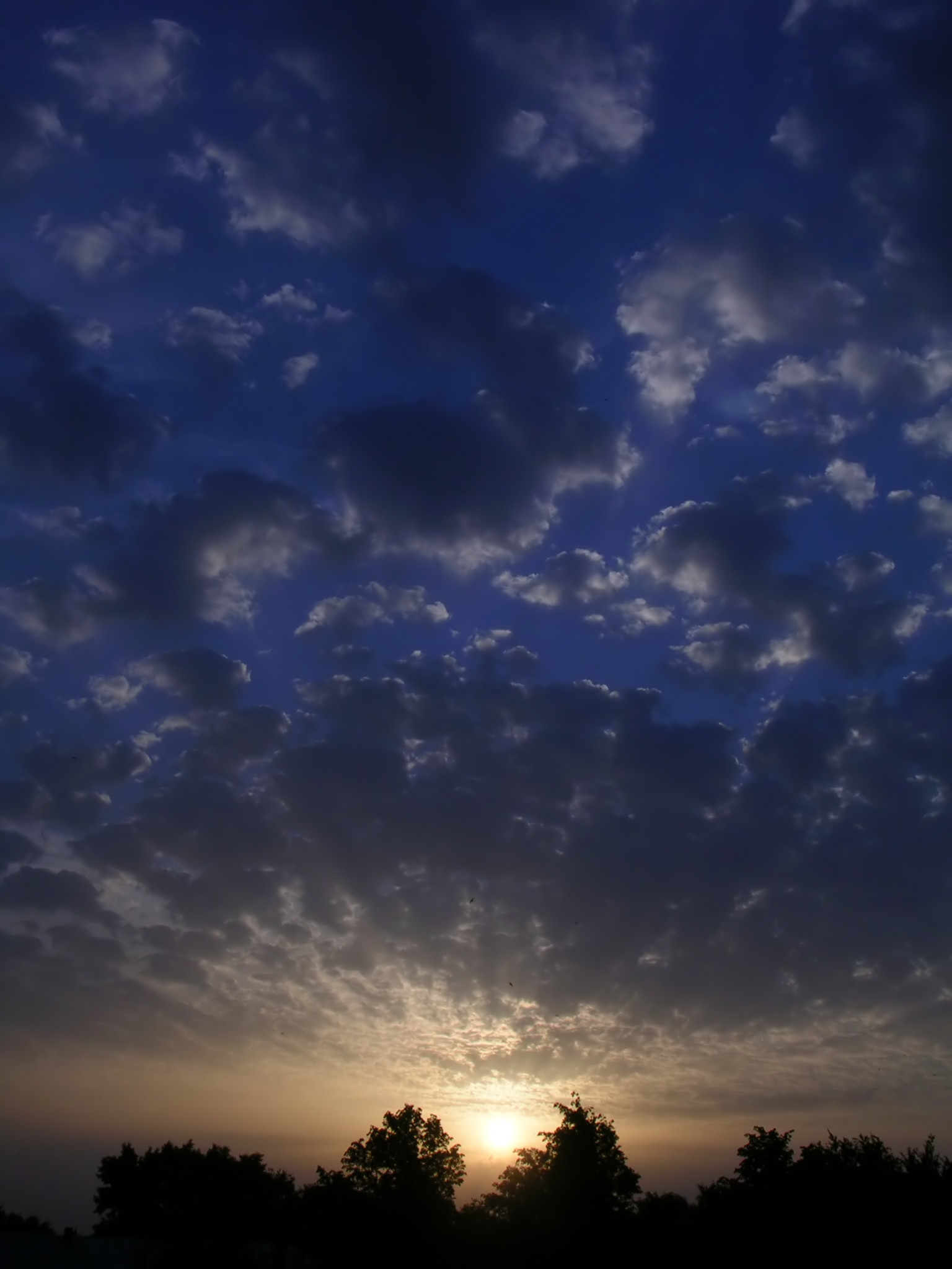 My Sky For You