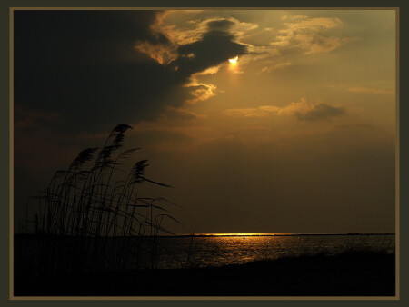 В тени (репост)