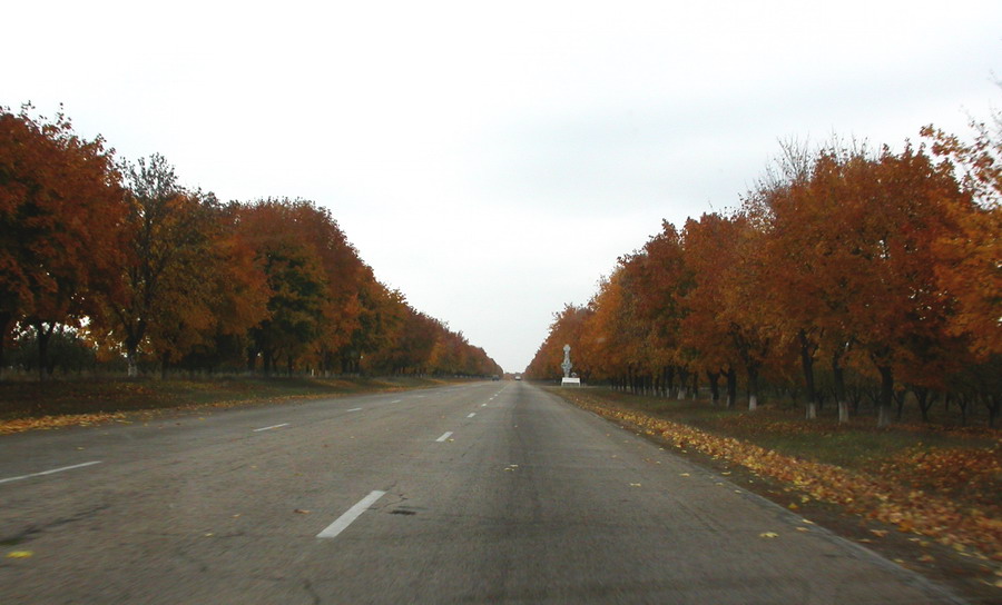 Осень