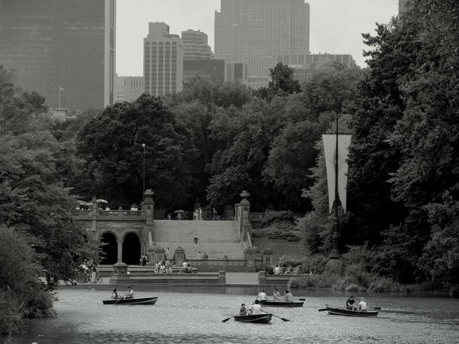 Central Park. New York.