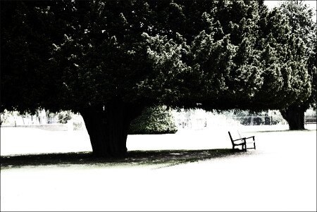 Hampton Court #1