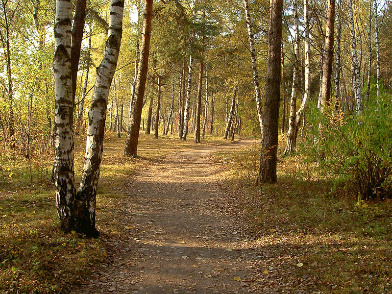 Кузьминки
