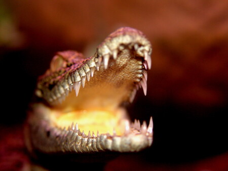 сушим пломбы