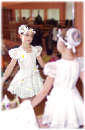 отражённая мечта