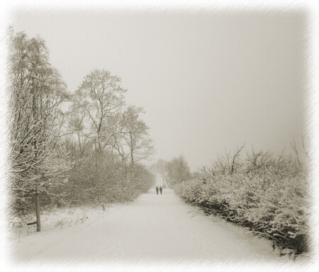 Тише... еще тише...